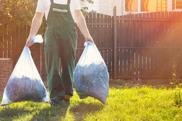 Best Shed Removal  in Dryden, MI